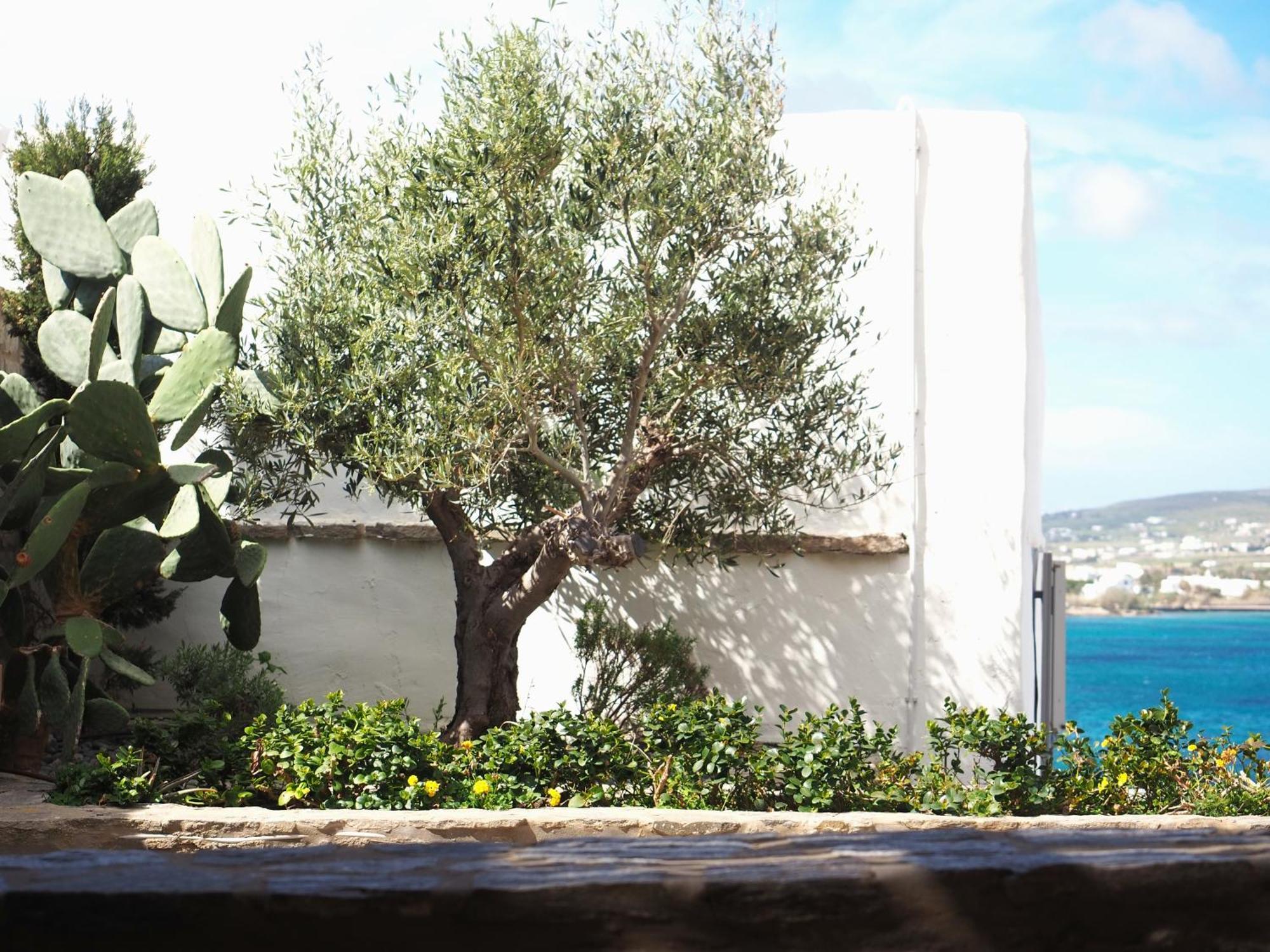 Ochre Dream, Beach Front & Sunset Villa Naousa الغرفة الصورة
